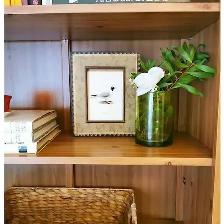 Daire Centrico Con Parking Y Wifi Gratis *