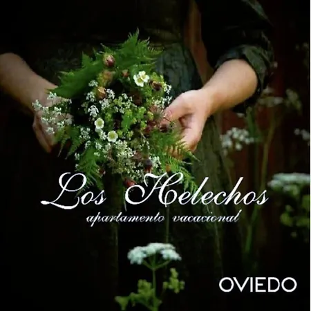 Centrico Con Parking Y Wifi Gratis Oviedo